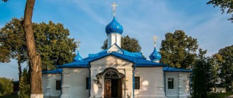 Переславль-Залесский. Святыня Феодоровского женского монастыря