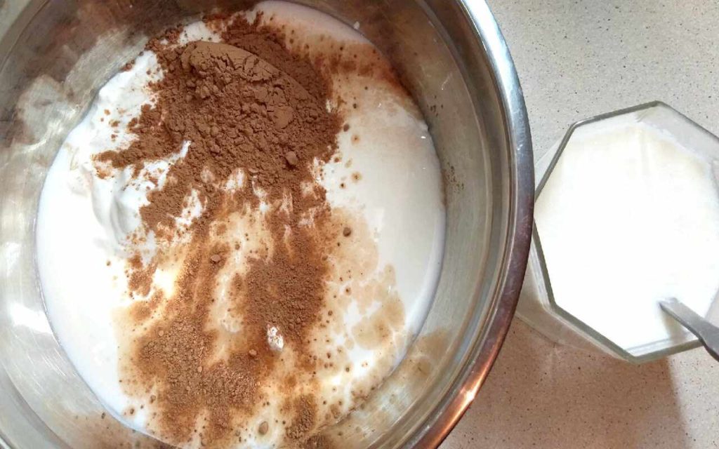Пудинг из ряженки и желатина и какао рецепт с фото пошагово